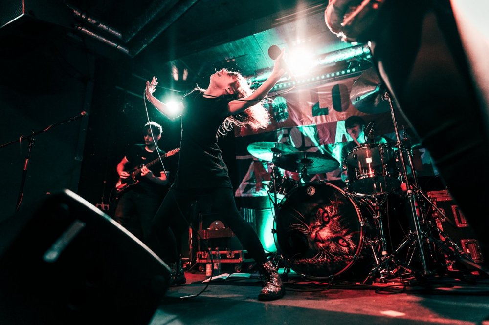 Fluff bands: new releases in June